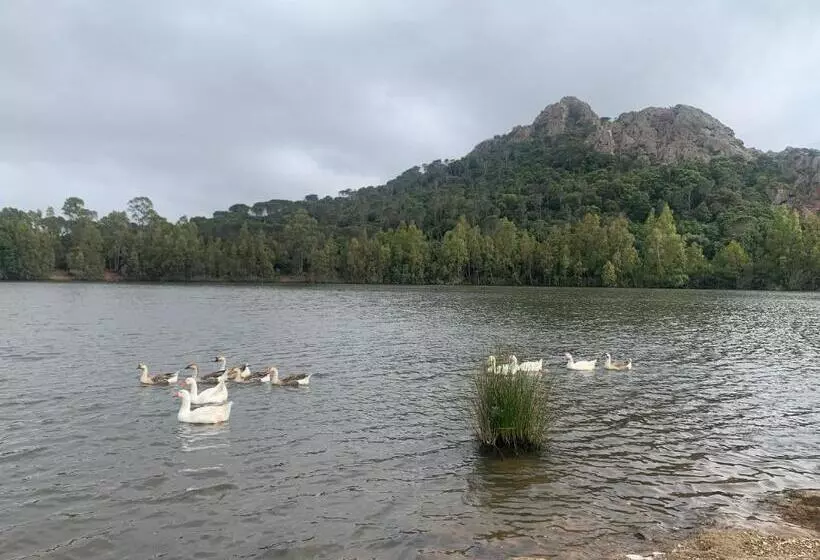 ペンション Antico Casale Del Poggio