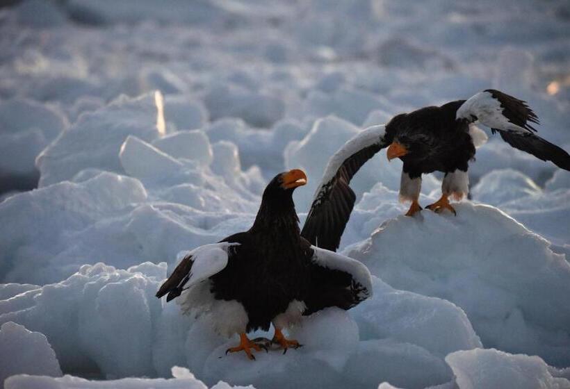 Пансион Shiretokoserai