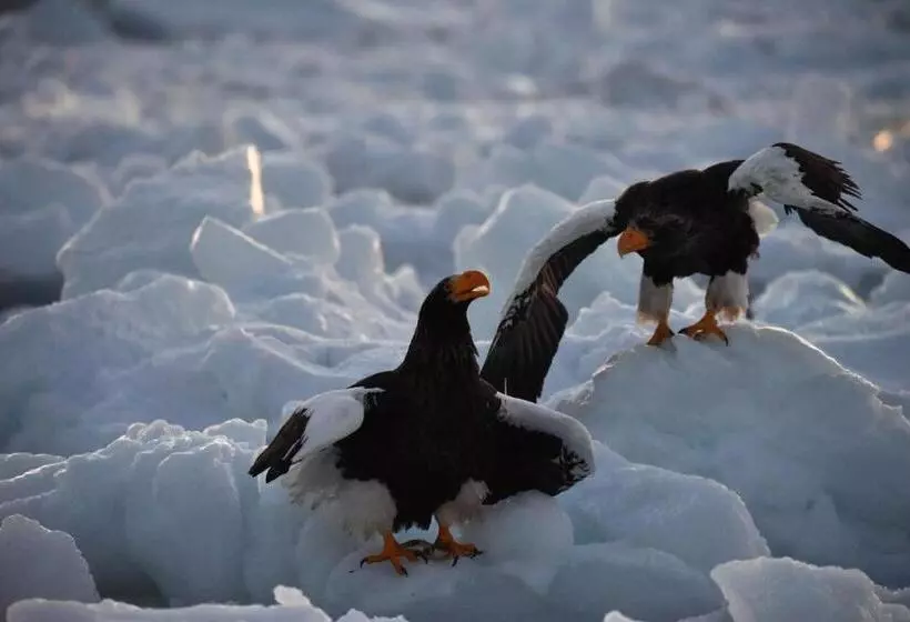 Majatalo Shiretokoserai