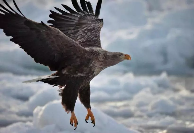 Majatalo Shiretokoserai