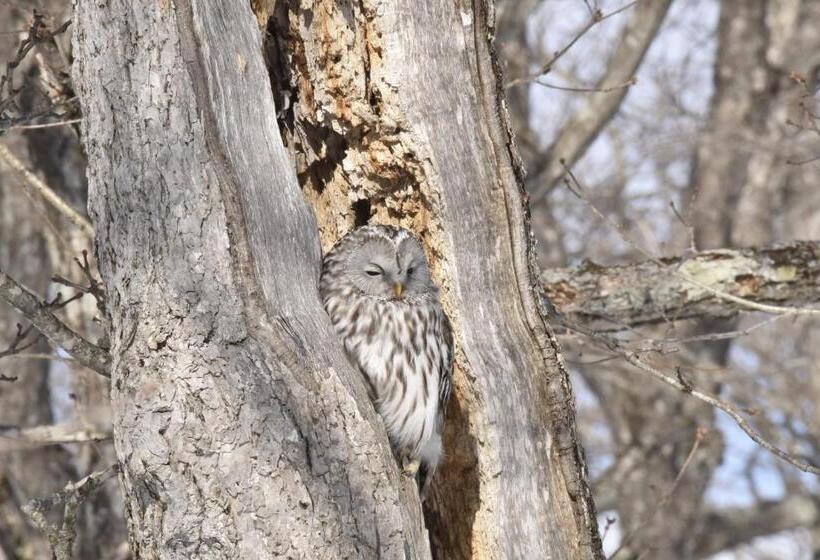 Пансион Shiretokoserai