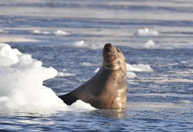 Пансион Shiretokoserai