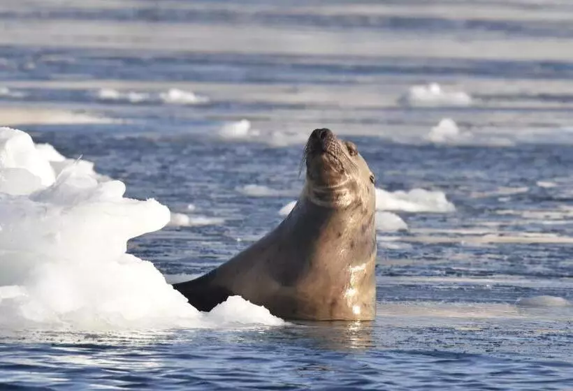 Majatalo Shiretokoserai