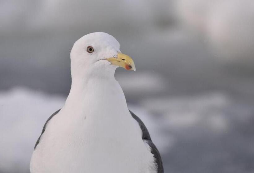 Пансион Shiretokoserai