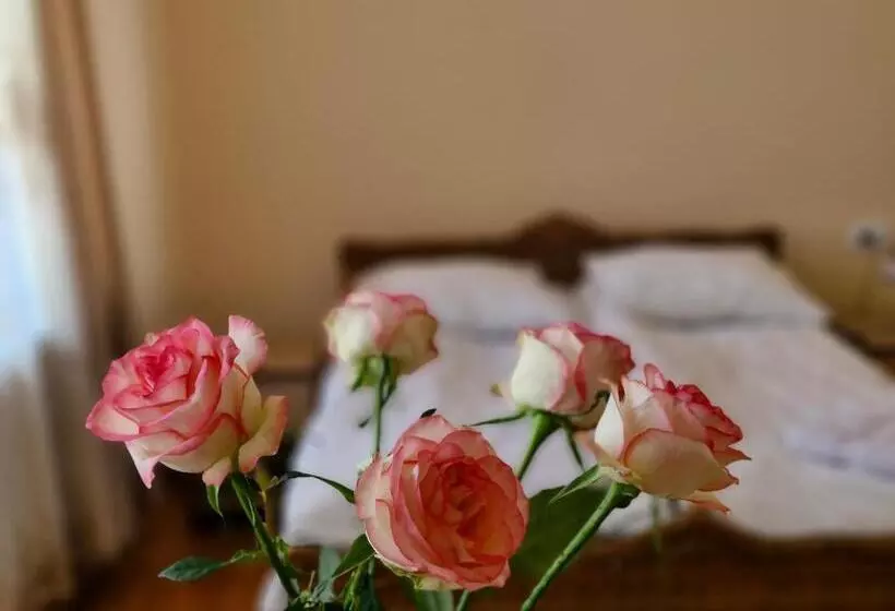 Guest House David S B&b