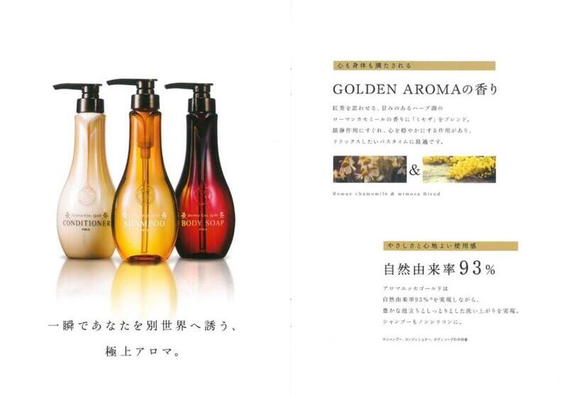 בית מלון כפרי Metro