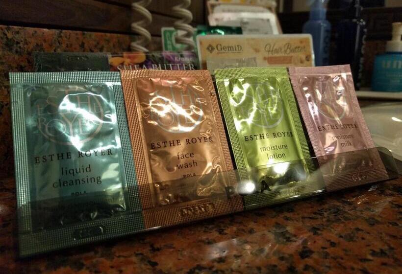 בית מלון כפרי Metro