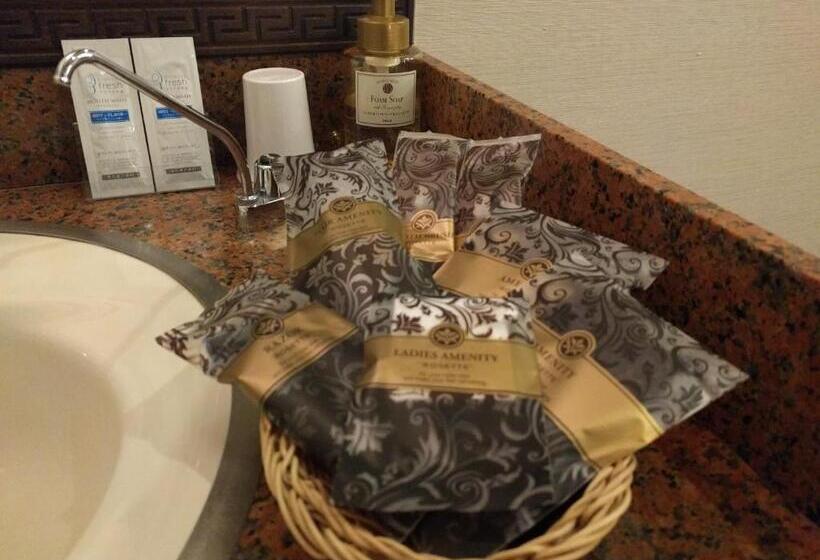 בית מלון כפרי Metro