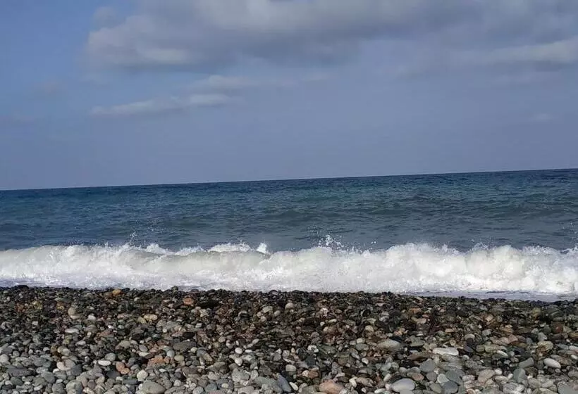 هتل Kolkhi