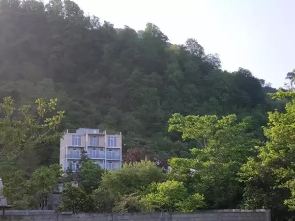 هتل Kolkhi