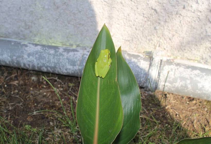 ホテル Rambuje Resort