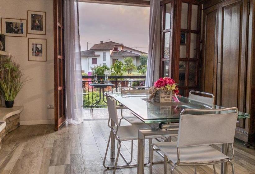 펜션 Nest Guesthouse