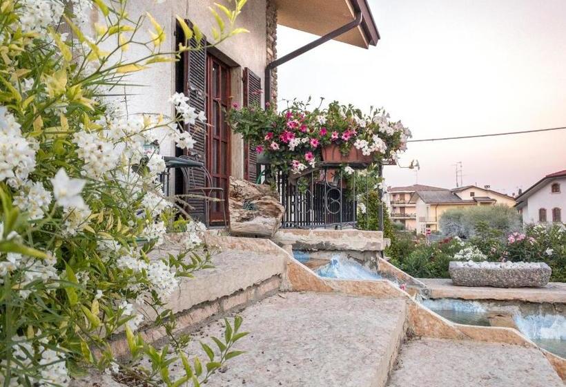 펜션 Nest Guesthouse