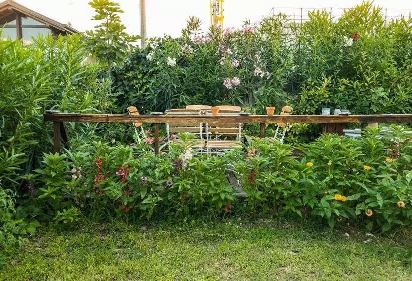 Majatalo Nest Guesthouse