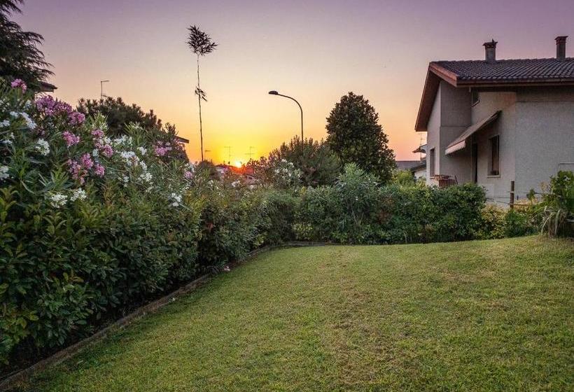 펜션 Nest Guesthouse