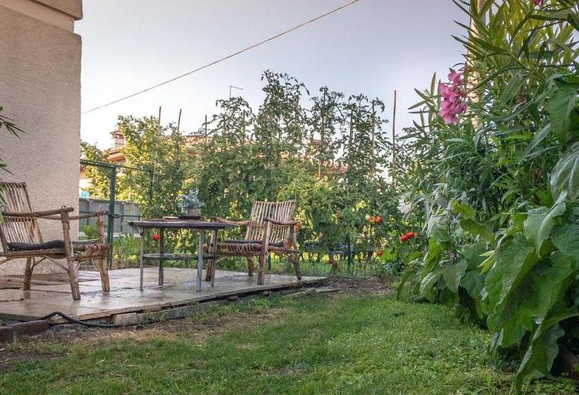 펜션 Nest Guesthouse