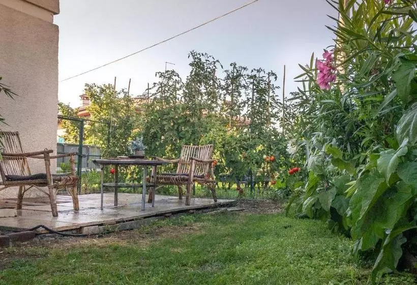 Majatalo Nest Guesthouse