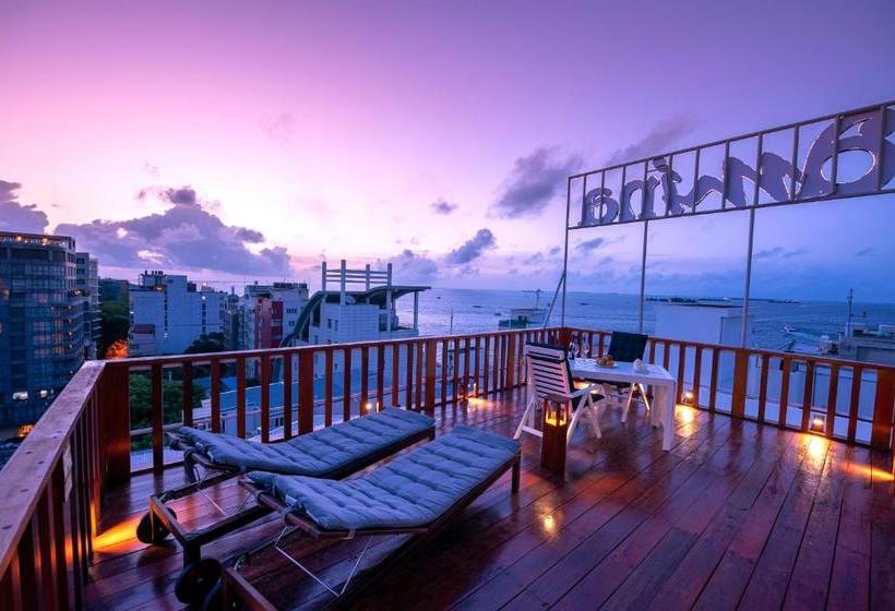 پانسیون Amina Residency