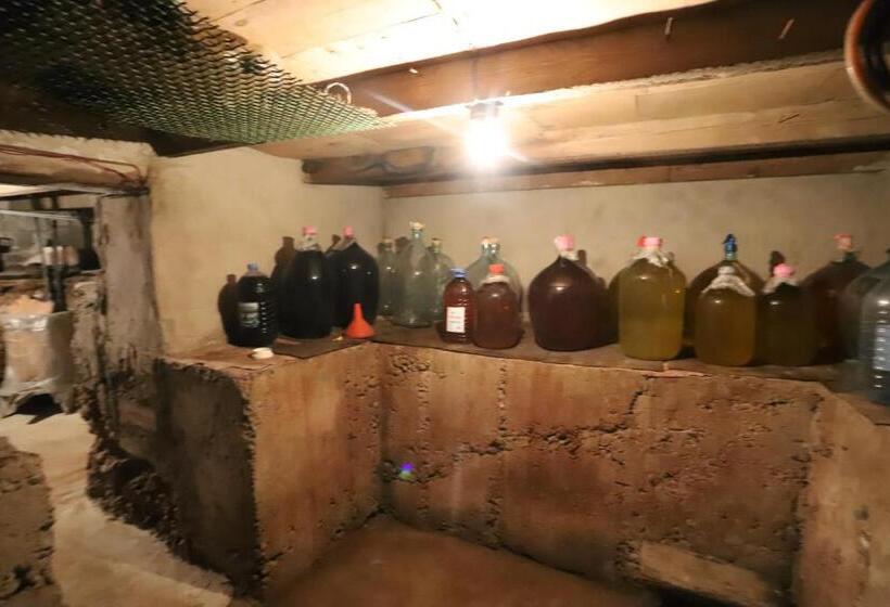 پانسیون Papazo