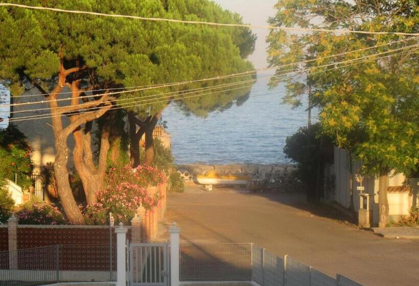 ベッドアンドブレックファースト Il Sogno Di Calipso