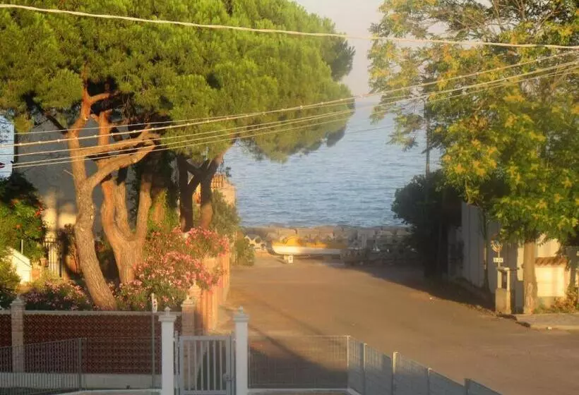 ベッドアンドブレックファースト Il Sogno Di Calipso