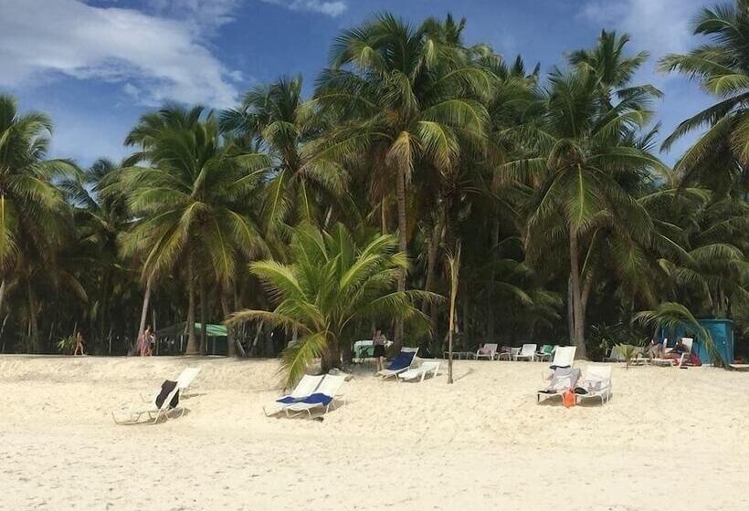 هتل Boutique Caribbean Revelation