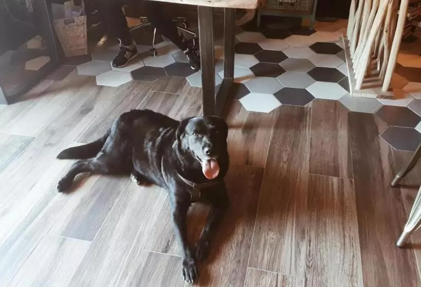 Majatalo Hostal Rural Can Pau