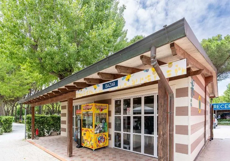 ホテル Hotiday Lodge Viareggio
