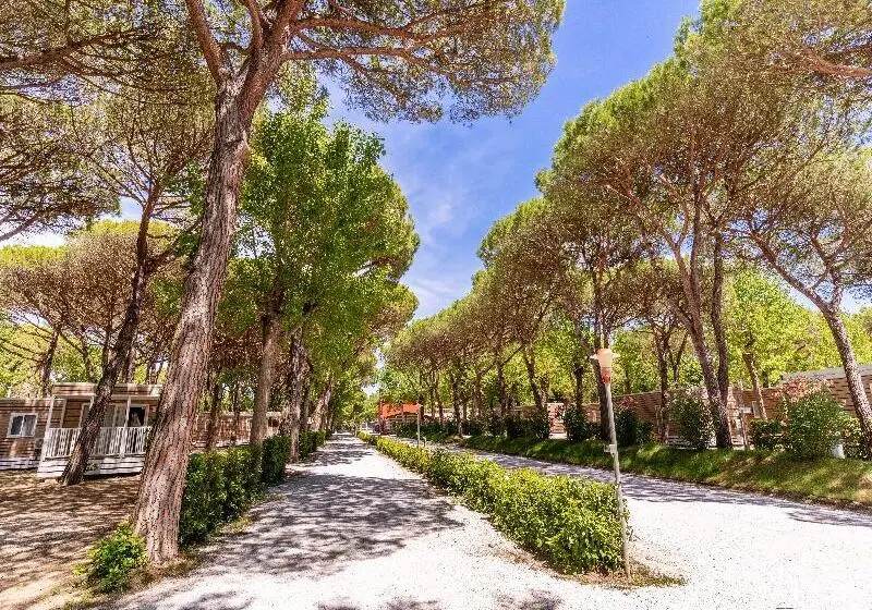 ホテル Hotiday Lodge Viareggio