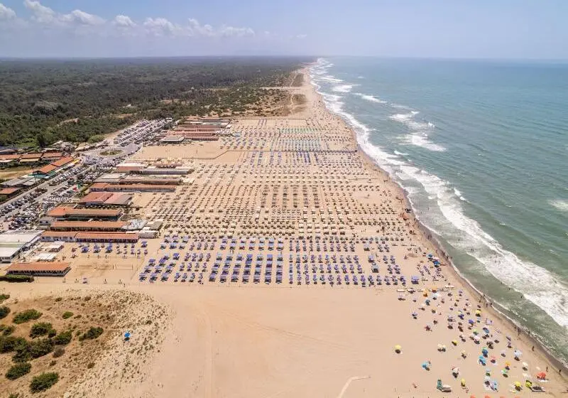ホテル Hotiday Lodge Viareggio