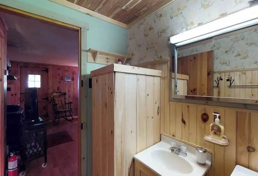 Lakefront Cabin With Private Dock & Beach Access