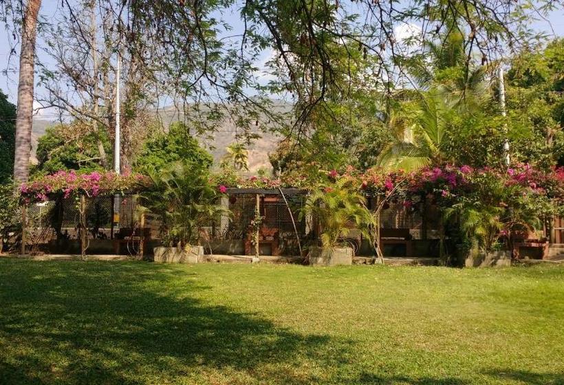 Las Cabanas De Pino Hostel