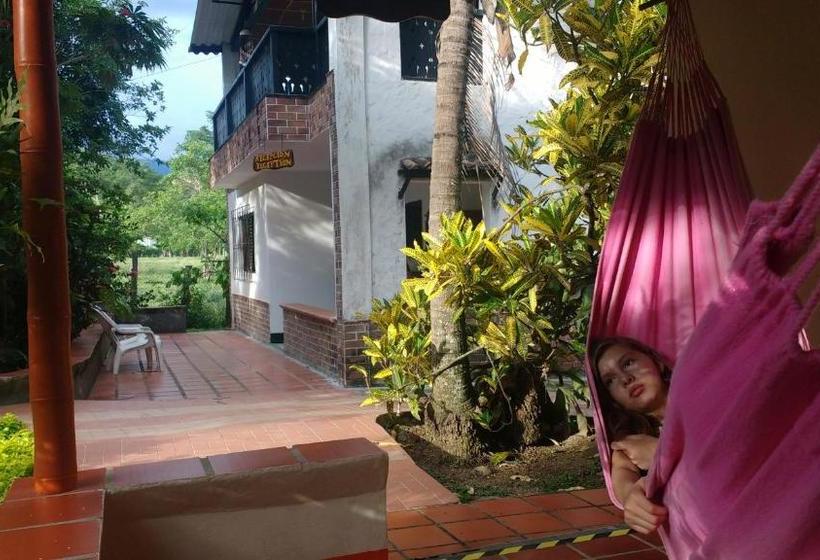 Las Cabanas De Pino Hostel