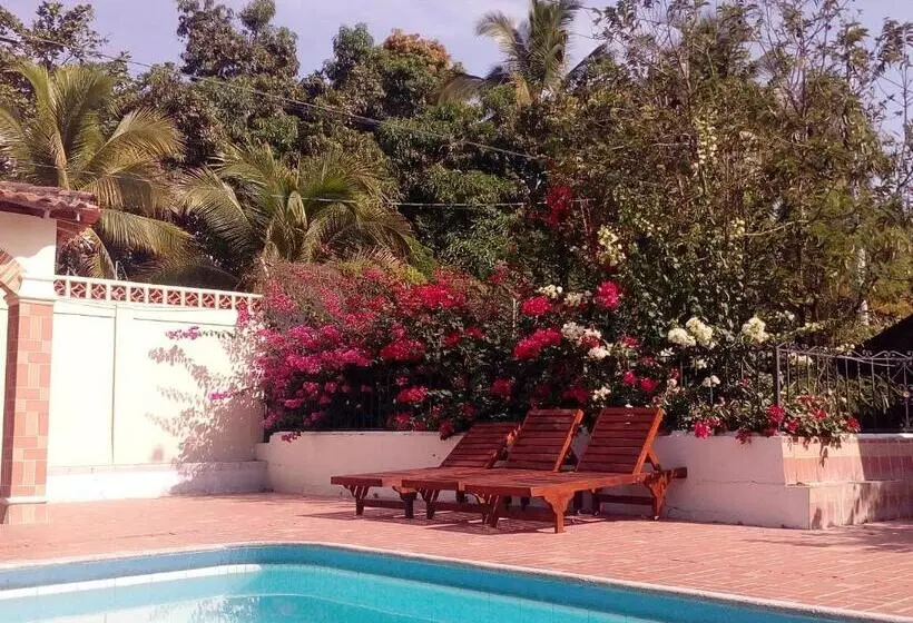 Las Cabanas De Pino Hostel