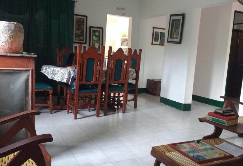 Las Cabanas De Pino Hostel