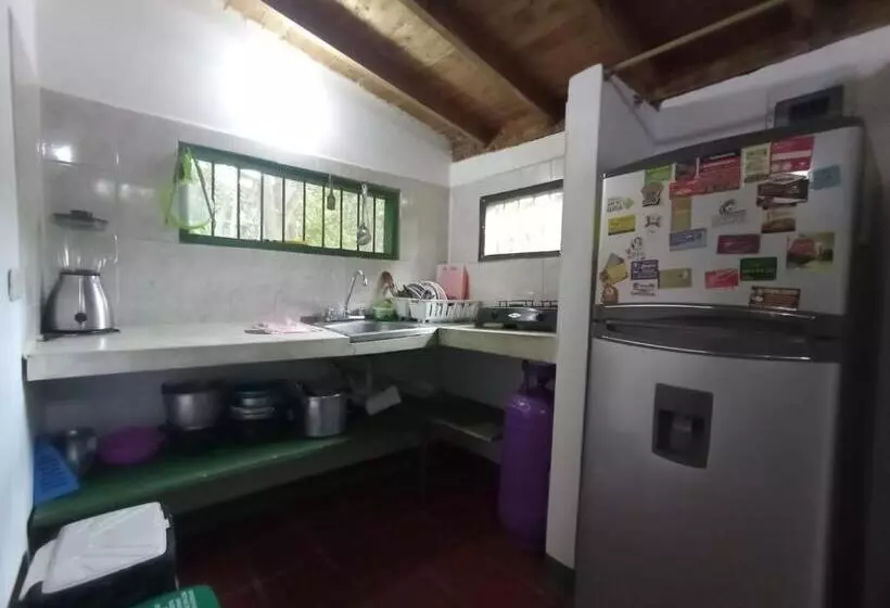 Las Cabanas De Pino Hostel