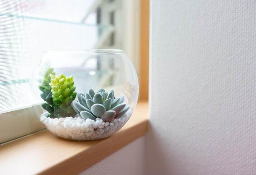 بنسيون Abc Guest House