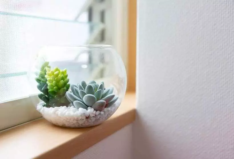 ペンション Abc Guest House