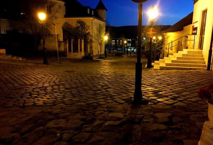 膳宿费 Eszterhazy Guesthouse