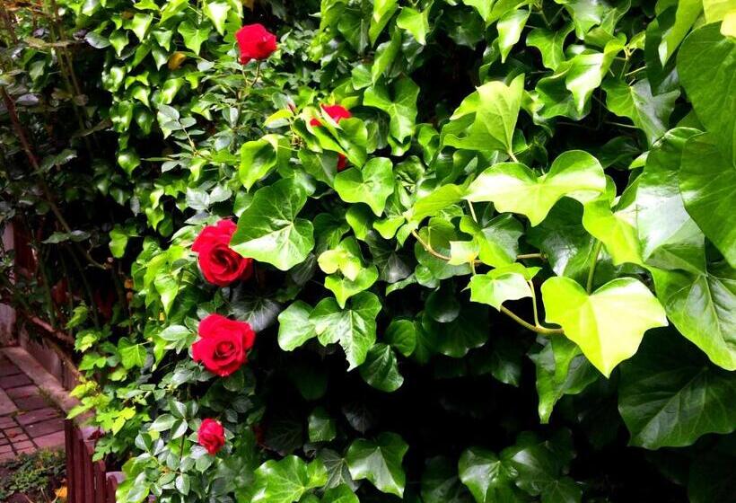 膳宿费 Eszterhazy Guesthouse