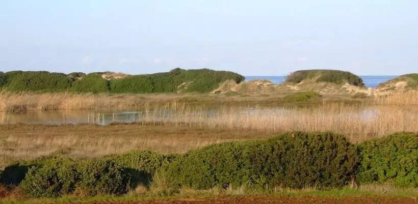 B&b Il Fiorone