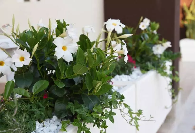 B&b Il Fiorone