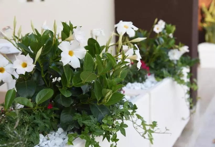B&b Il Fiorone