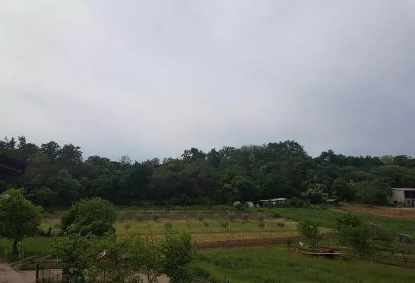 B&b Molinari