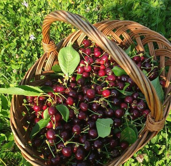 هتل Agriturismo Relais Maddalene101