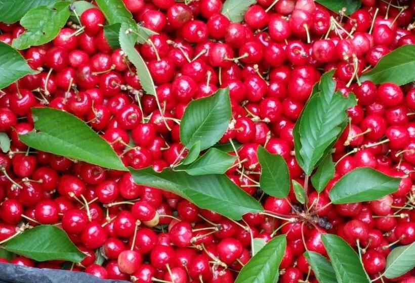 هتل Agriturismo Relais Maddalene101