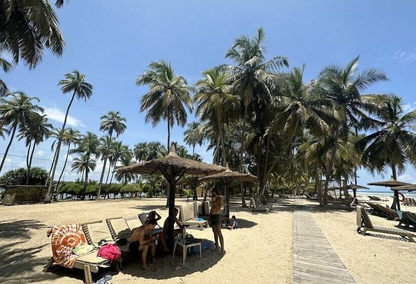 هتل Coucoue Lodge