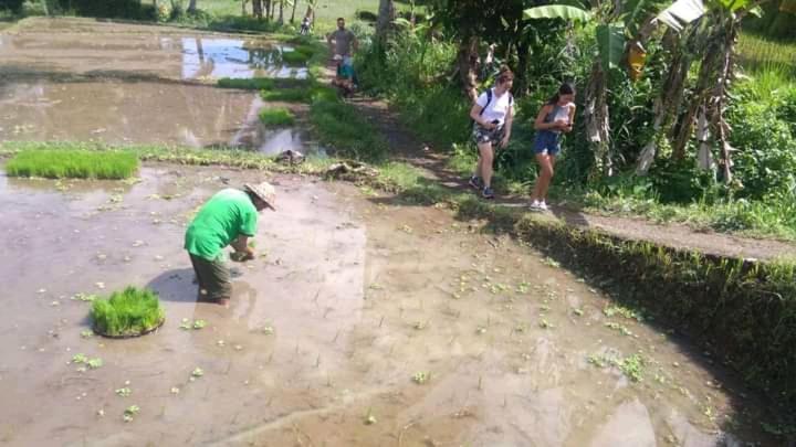 ペンション I Guci Home