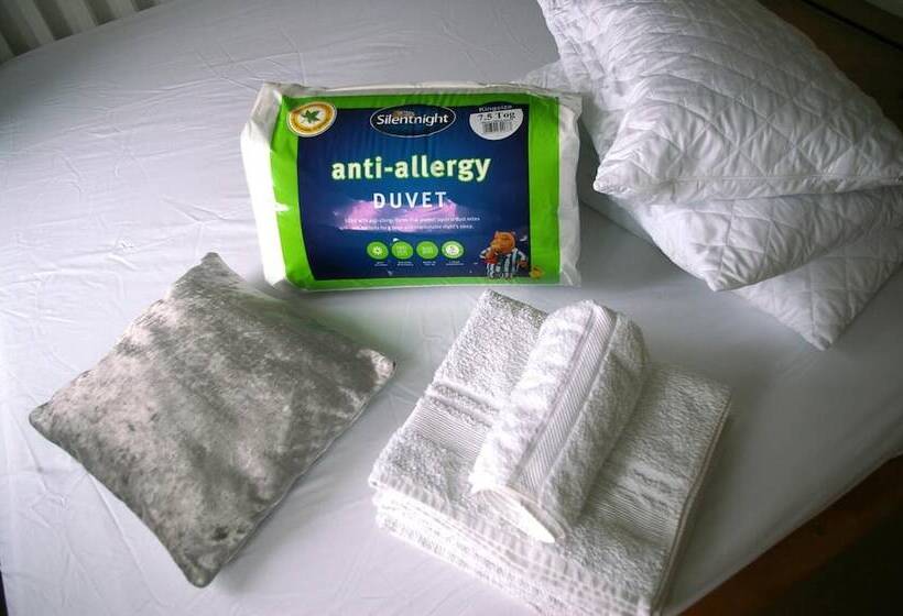 پانسیون Ladysmith House Full House