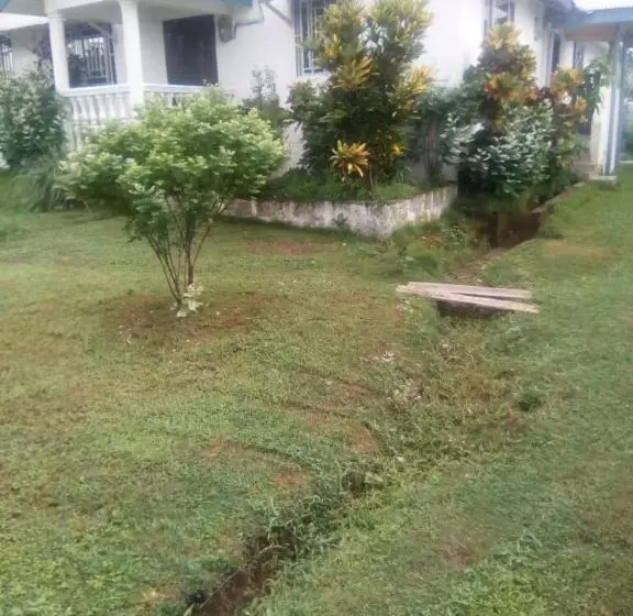 Majatalo Airport Lodge Lungi